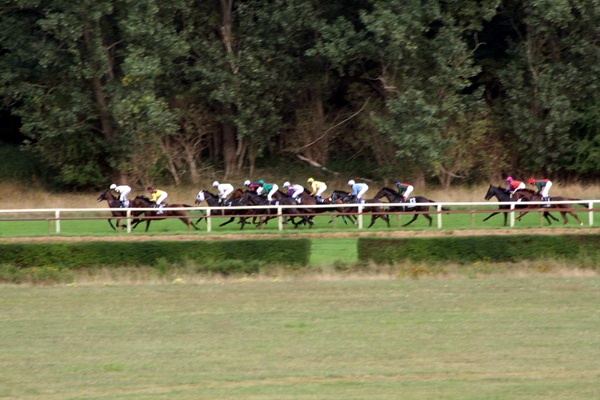 Ascot Renntag09   078.jpg